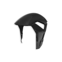 CRB110L - GLOSSY CARBON FRONT FENDER BMW S1000RR