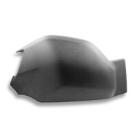 CRB24O - CARBON SWINGARM GUARD