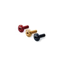 Protection regulator screw set MV Agusta Brutale