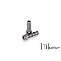 Rear Hub Swingarm Pinch Bolt (2 pcs) - TITANIUM