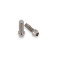 Rear Hub Swingarm Pinch Bolt (2 pcs) - TITANIUM