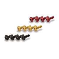 Screw set - Undertail Ducati V4 - V2