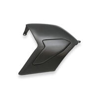 Swingarm cover Ducati Panigale V4 - Carbon